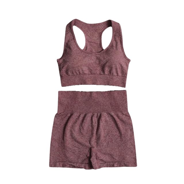 Sports Bra & Shorts Gym Set - Flamin' Fitness